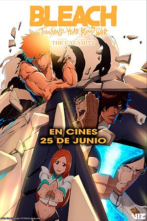 Póster de Bleach(SUB BIS