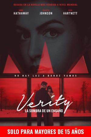Póster de Verity: La sombra de un engaño